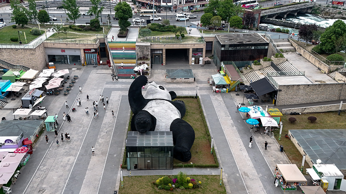 Vista aérea del Selfie Panda, la escultura gigante de Florentijn Hofman en la plaza Yangtianwo de Dujiangyan, China
