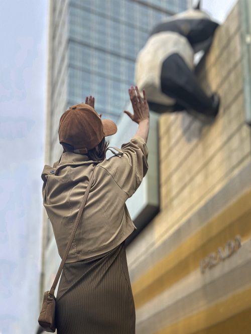 PandaIFS_Chengdu_Turistas.jpg