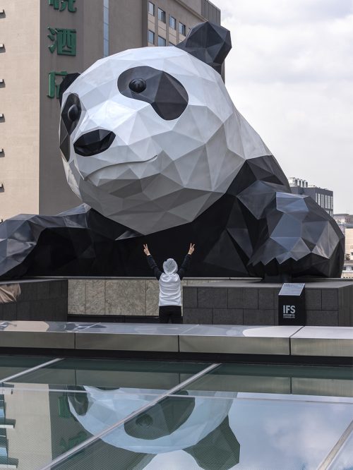 PandaIFS_Chengdu_tamaño.jpg