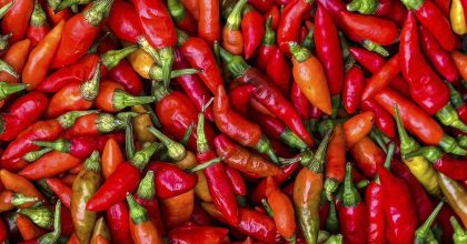 Gran montón de chiles rojos brillantes en un puesto de especias o mercado en China. La imagen está completamente llena de chiles de diferentes variedades, mostrando su color rojo intenso y textura brillante.