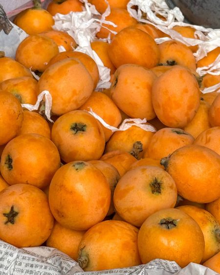 frutas-silvestres-jiuzhaigou-bosques-alpinos.jpg