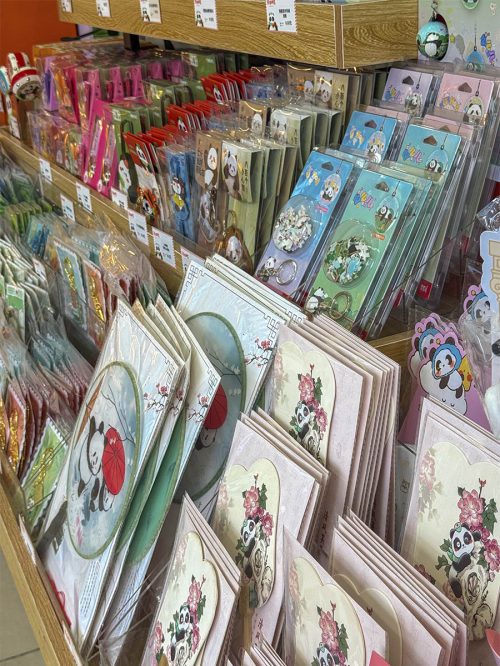 oficina-tematica-panda-chengdu-pasillo-decoracion.jpg