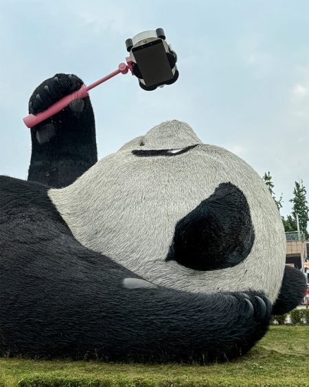 selfie-panda-dujiangyan-primer-plano.jpg